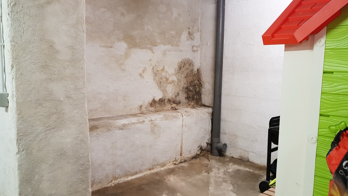 Infiltrations d'eau - Expertise humidité à Nantes